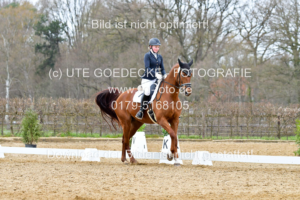Reitsportzentrum Bremervörde | 170421 Dressurreiter L_526
