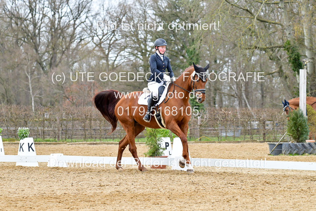 Reitsportzentrum Bremervörde | 170421 Dressurreiter L_528
