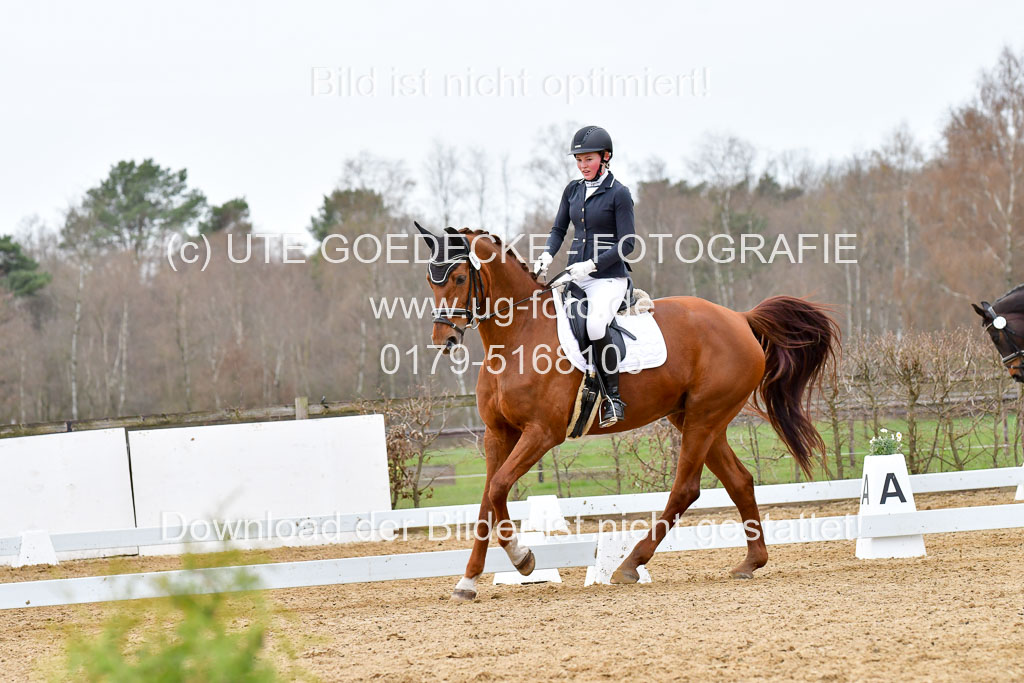 Reitsportzentrum Bremervörde | 170421 Dressurreiter L_531