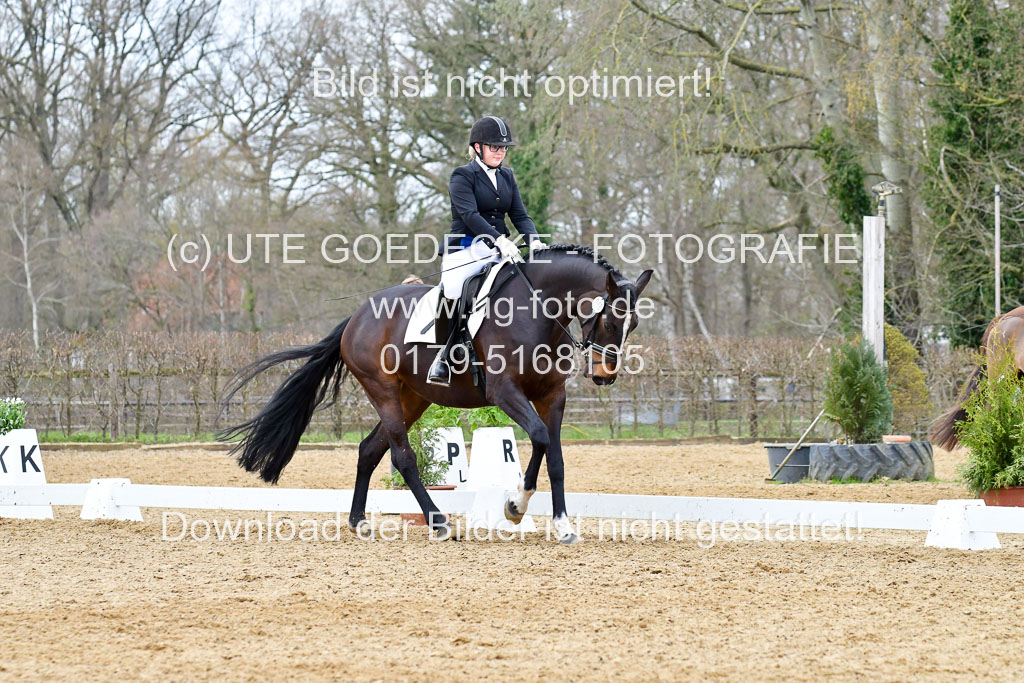Reitsportzentrum Bremervörde | 170421 Dressurreiter L_537 