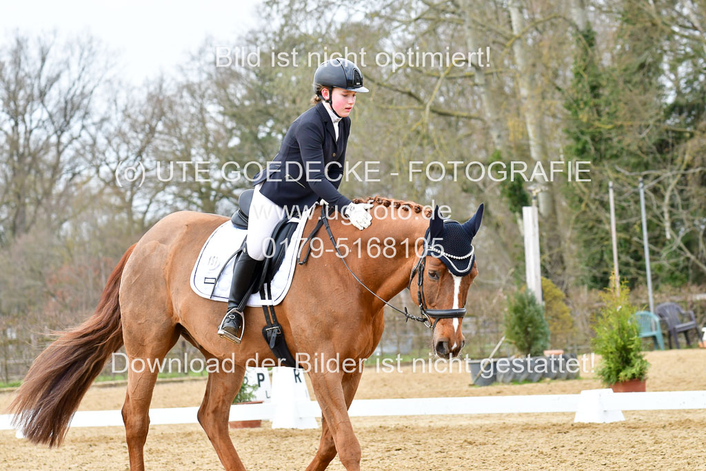 Reitsportzentrum Bremervörde | 170421 Dressurreiter L_550