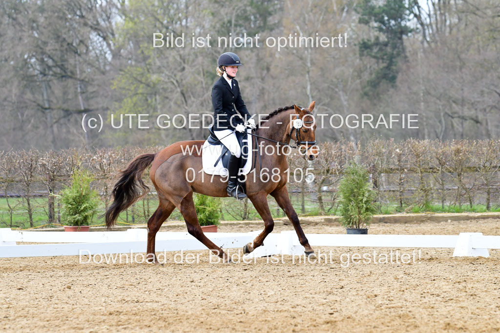 Reitsportzentrum Bremervörde | 170421 Dressurreiter L_557