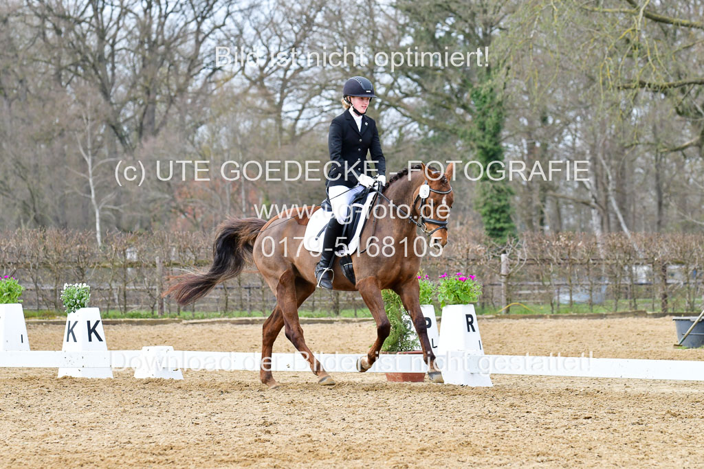Reitsportzentrum Bremervörde | 170421 Dressurreiter L_561 
