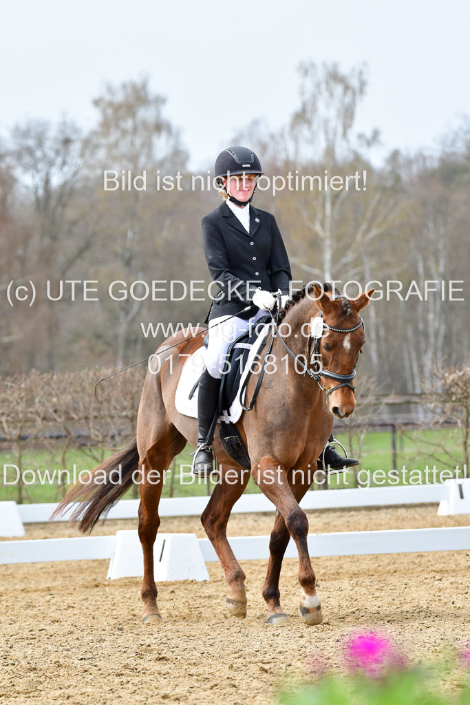 Reitsportzentrum Bremervörde | 170421 Dressurreiter L_564