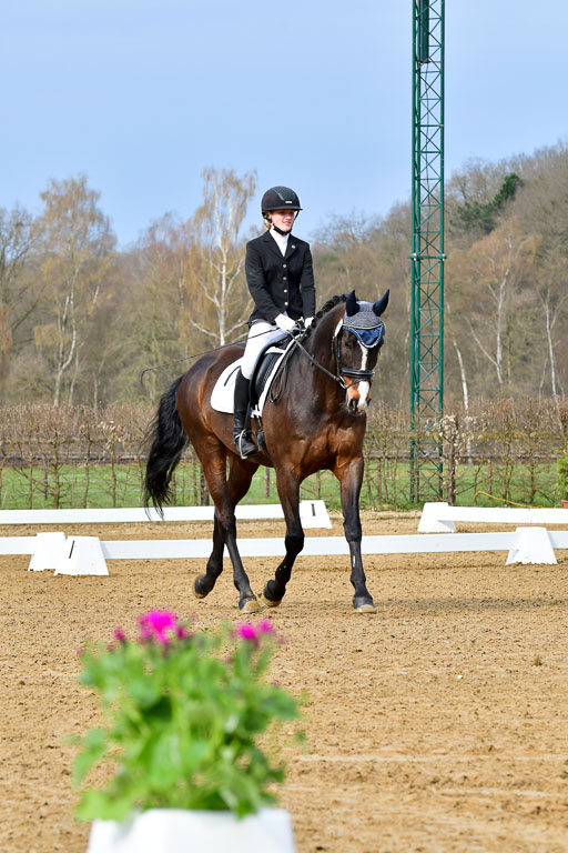 Reitsportzentrum Bremervörde | 170421 Dressurreiter L 