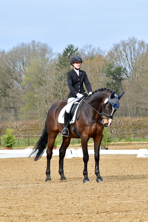 Reitsportzentrum Bremervörde | 170421 Dressurreiter L_001 