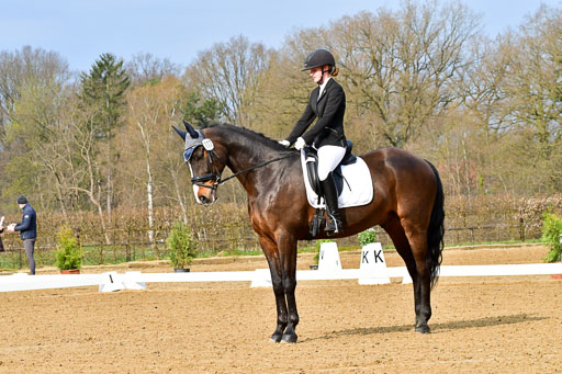 Reitsportzentrum Bremervörde | 170421 Dressurreiter L_002 