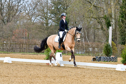 Reitsportzentrum Bremervörde | 170421 Dressurreiter L_010 