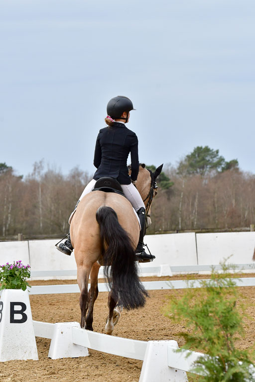 Reitsportzentrum Bremervörde | 170421 Dressurreiter L_011 