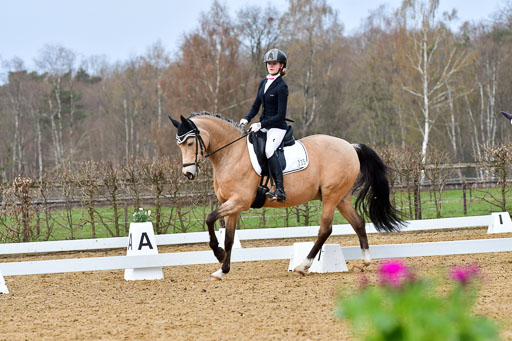 Reitsportzentrum Bremervörde | 170421 Dressurreiter L_012 