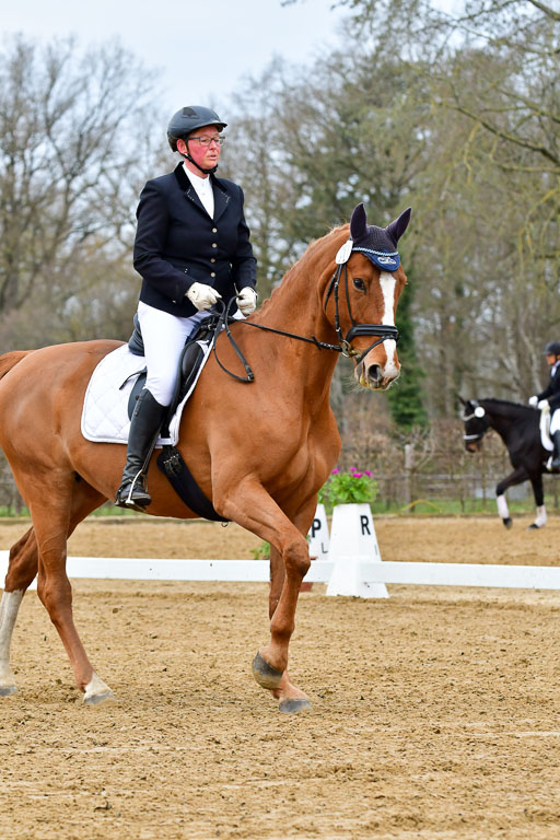 Reitsportzentrum Bremervörde | 170421 Dressurreiter L_018 