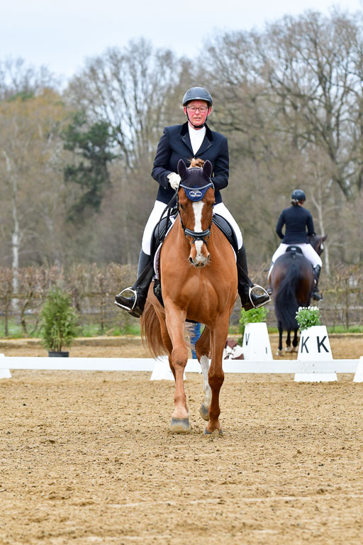 Reitsportzentrum Bremervörde | 170421 Dressurreiter L_019 