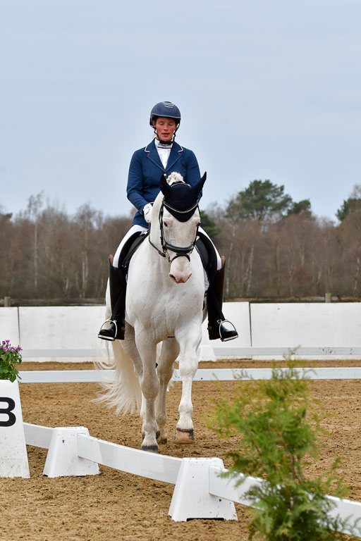 Reitsportzentrum Bremervörde | 170421 Dressurreiter L_022 
