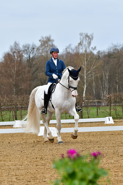 Reitsportzentrum Bremervörde | 170421 Dressurreiter L_023 