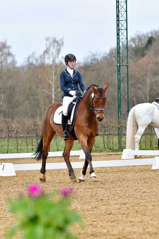 Reitsportzentrum Bremervörde | 170421 Dressurreiter L_044 