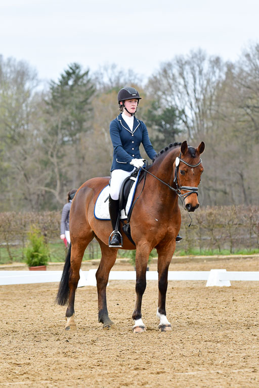 Reitsportzentrum Bremervörde | 170421 Dressurreiter L_045 
