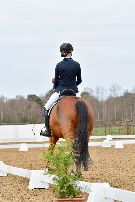 Reitsportzentrum Bremervörde | 170421 Dressurreiter L_047 