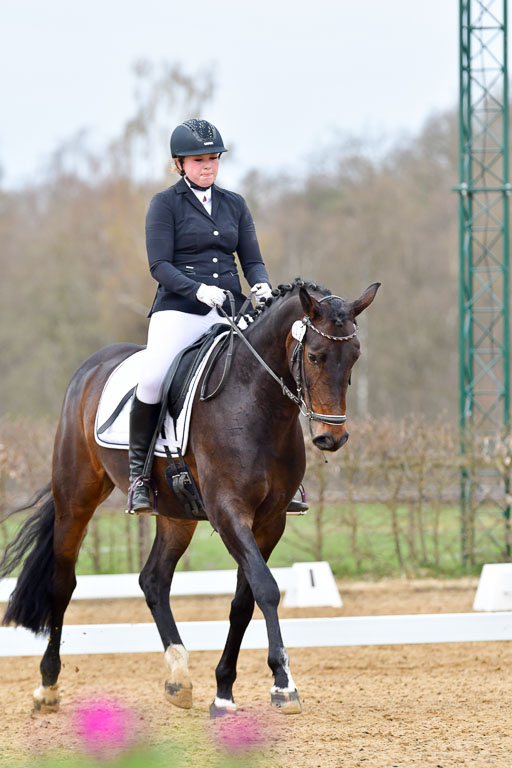 Reitsportzentrum Bremervörde | 170421 Dressurreiter L_054 