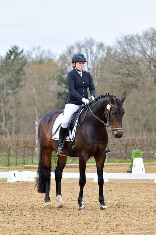 Reitsportzentrum Bremervörde | 170421 Dressurreiter L_055 