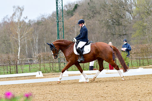 Reitsportzentrum Bremervörde | 170421 Dressurreiter L_060 