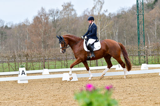 Reitsportzentrum Bremervörde | 170421 Dressurreiter L_061 