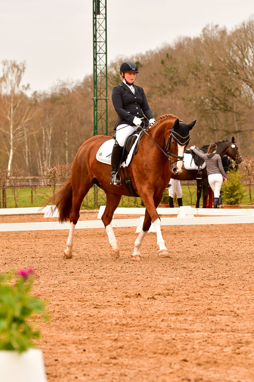 Reitsportzentrum Bremervörde | 170421 Dressurreiter L_062 