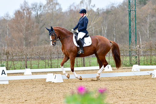 Reitsportzentrum Bremervörde | 170421 Dressurreiter L_069 