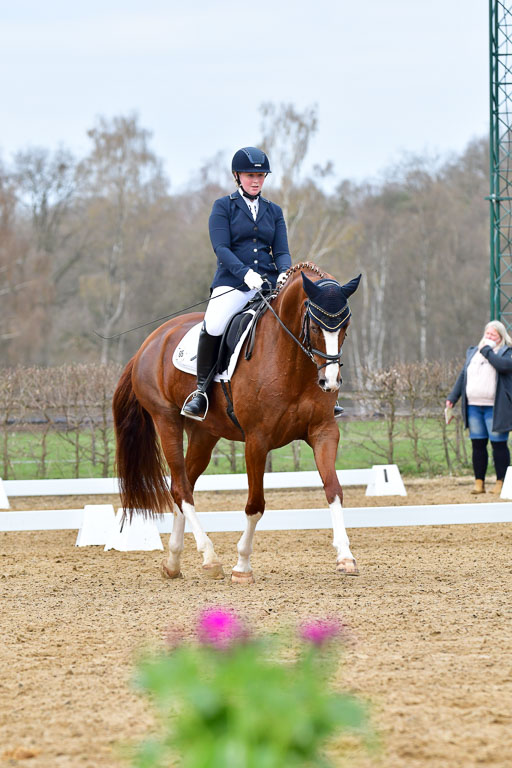 Reitsportzentrum Bremervörde | 170421 Dressurreiter L_072 