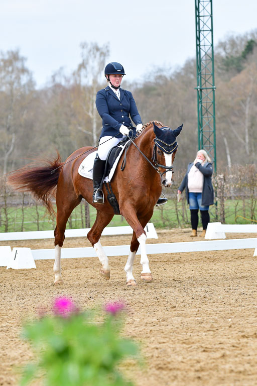 Reitsportzentrum Bremervörde | 170421 Dressurreiter L_074 