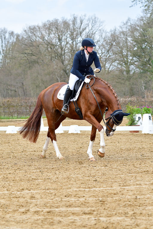 Reitsportzentrum Bremervörde | 170421 Dressurreiter L_076 