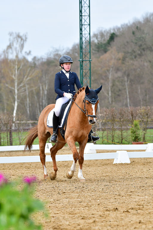 Reitsportzentrum Bremervörde | 170421 Dressurreiter L_080 