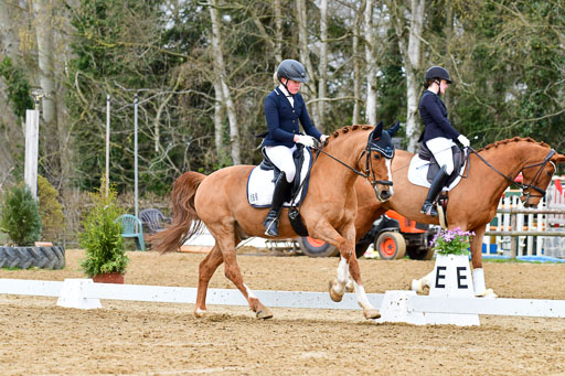 Reitsportzentrum Bremervörde | 170421 Dressurreiter L_088 