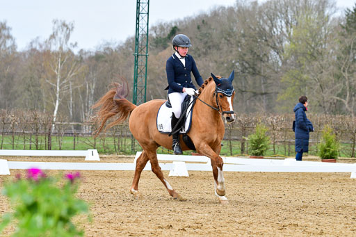 Reitsportzentrum Bremervörde | 170421 Dressurreiter L_089 