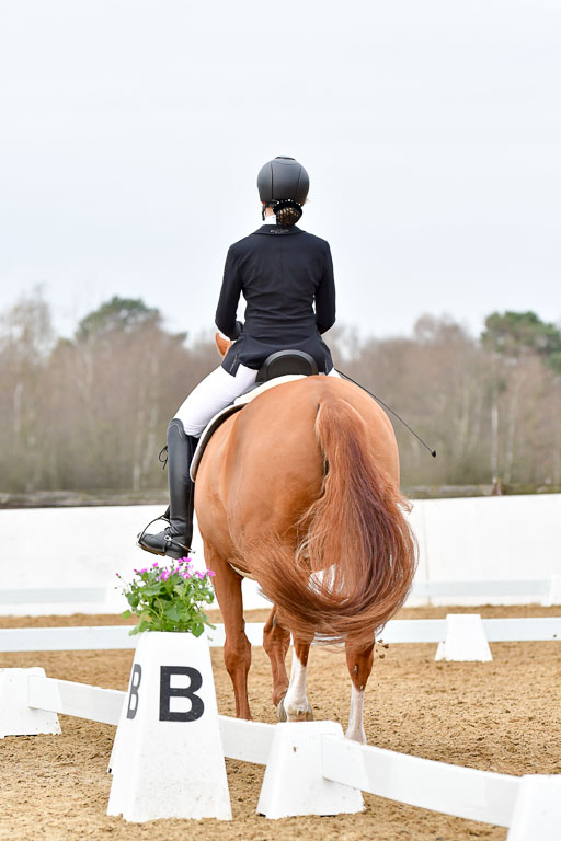 Reitsportzentrum Bremervörde | 170421 Dressurreiter L_098 