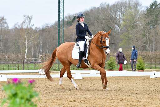 Reitsportzentrum Bremervörde | 170421 Dressurreiter L_110 