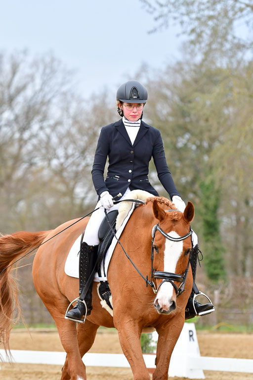 Reitsportzentrum Bremervörde | 170421 Dressurreiter L_115 