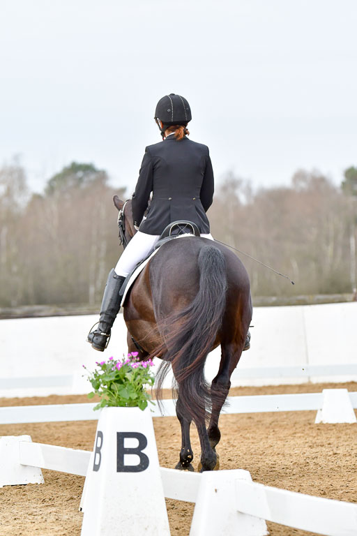 Reitsportzentrum Bremervörde | 170421 Dressurreiter L_118 