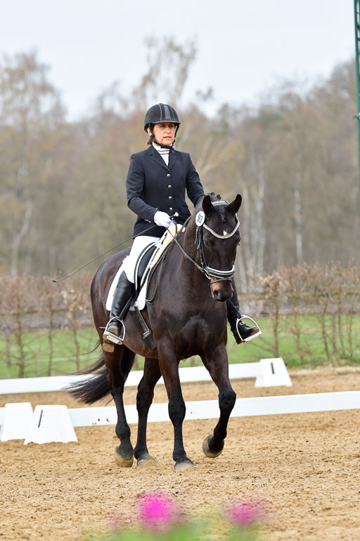 Reitsportzentrum Bremervörde | 170421 Dressurreiter L_119 