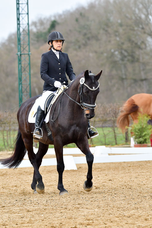Reitsportzentrum Bremervörde | 170421 Dressurreiter L_120 