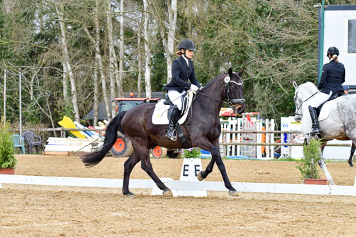 Reitsportzentrum Bremervörde | 170421 Dressurreiter L_126 