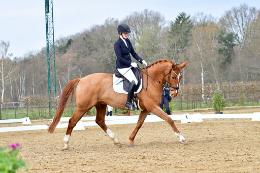Reitsportzentrum Bremervörde | 170421 Dressurreiter L_128 
