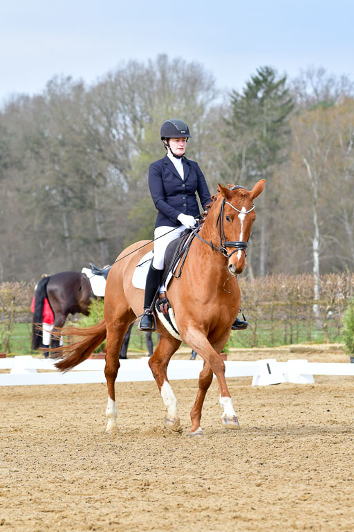 Reitsportzentrum Bremervörde | 170421 Dressurreiter L_129 