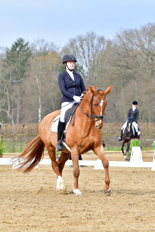 Reitsportzentrum Bremervörde | 170421 Dressurreiter L_130 