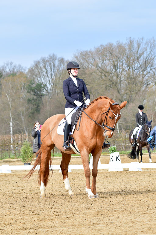 Reitsportzentrum Bremervörde | 170421 Dressurreiter L_131 