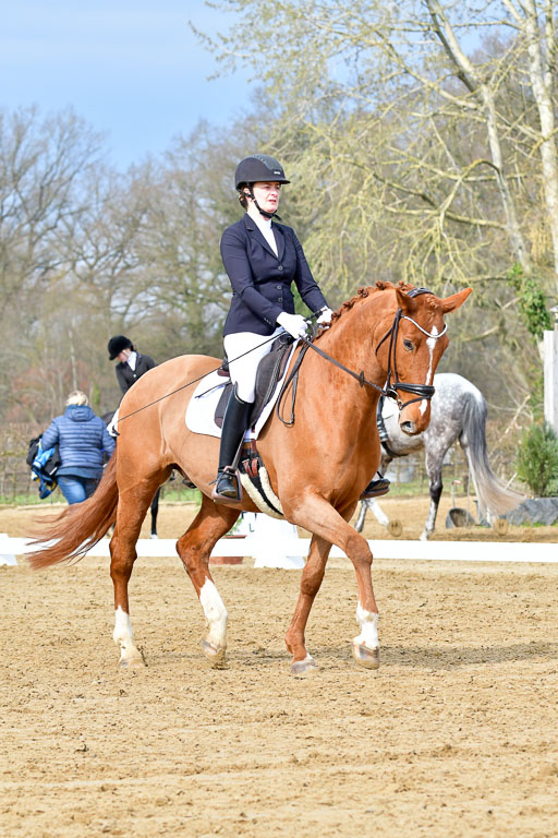 Reitsportzentrum Bremervörde | 170421 Dressurreiter L_132 