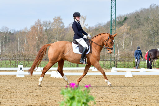 Reitsportzentrum Bremervörde | 170421 Dressurreiter L_133 