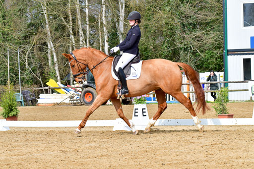 Reitsportzentrum Bremervörde | 170421 Dressurreiter L_134 