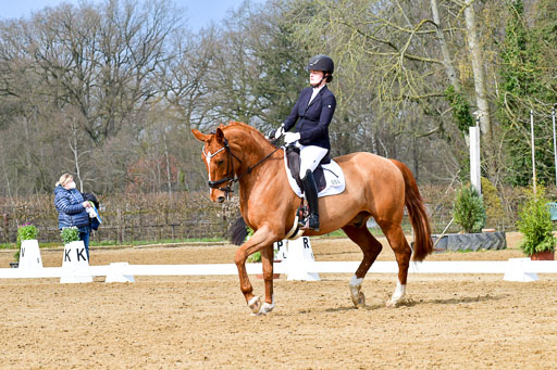 Reitsportzentrum Bremervörde | 170421 Dressurreiter L_135 
