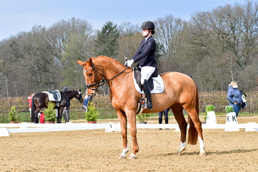 Reitsportzentrum Bremervörde | 170421 Dressurreiter L_136 