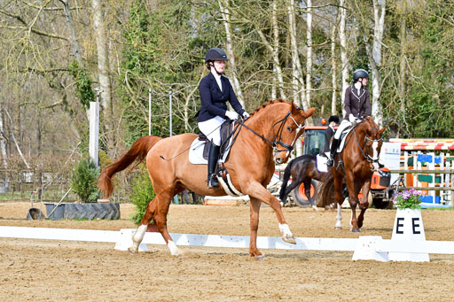 Reitsportzentrum Bremervörde | 170421 Dressurreiter L_137 